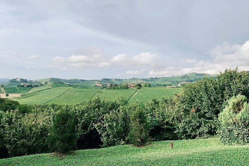 Private Barolo Wine Tour with Winemaker from Turin