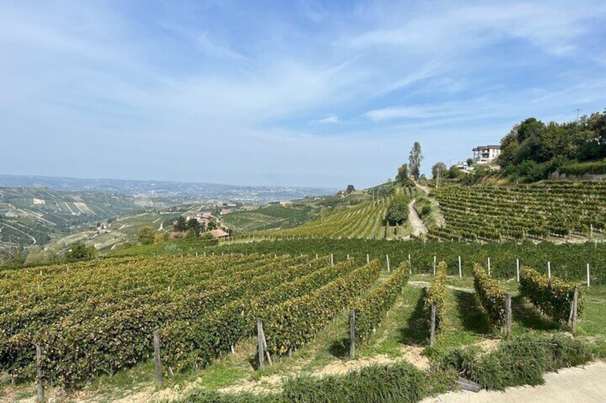 Private Barolo Wine Tour with Winemaker from Turin