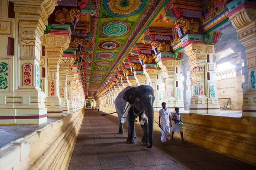 Madurai to Rameshwaram Full Day Excursion