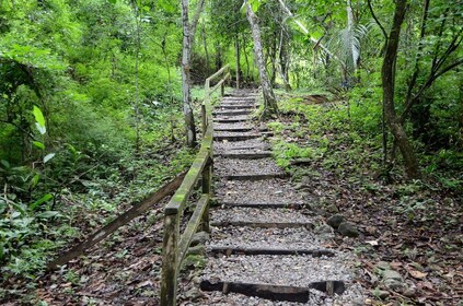 Metropolitan Park og Ancon Hill