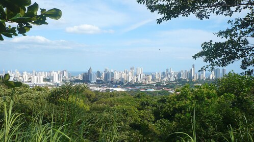 Metropolitan Park & Ancon Hill