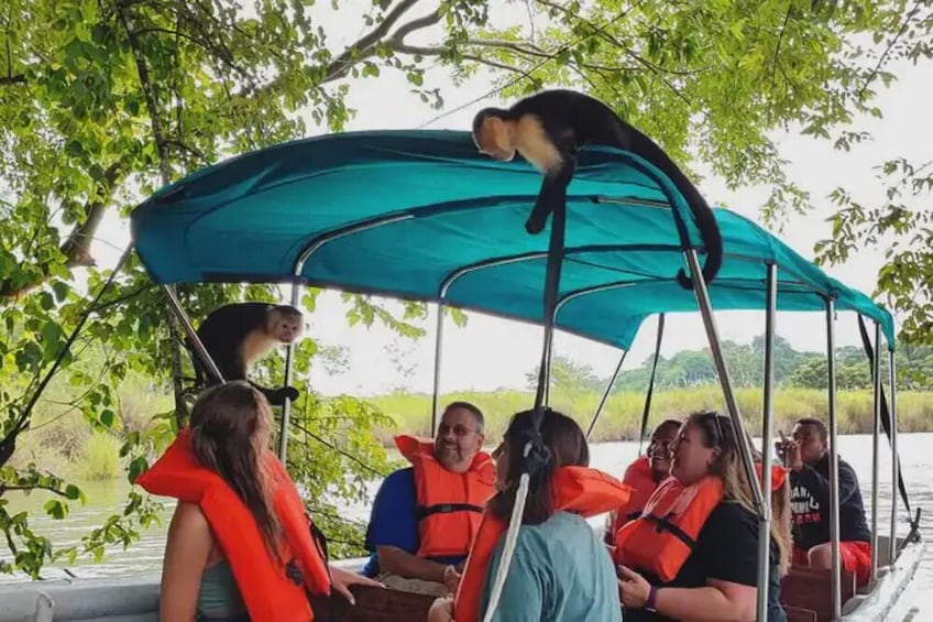 Panama Canal Eco Tour: Monkey Island (with lunch)