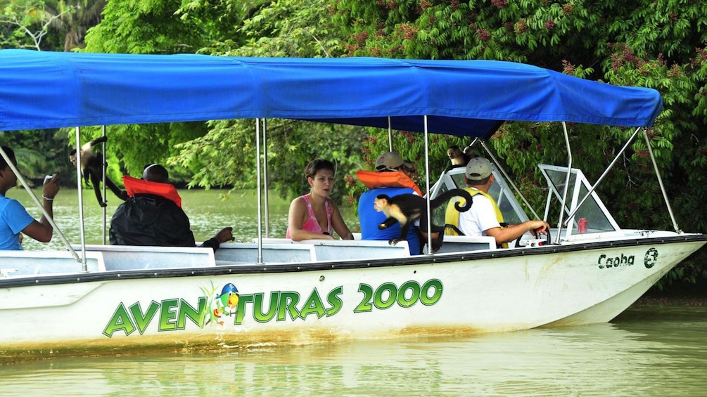 Experience closer views of the shoreline in Gatun Lake