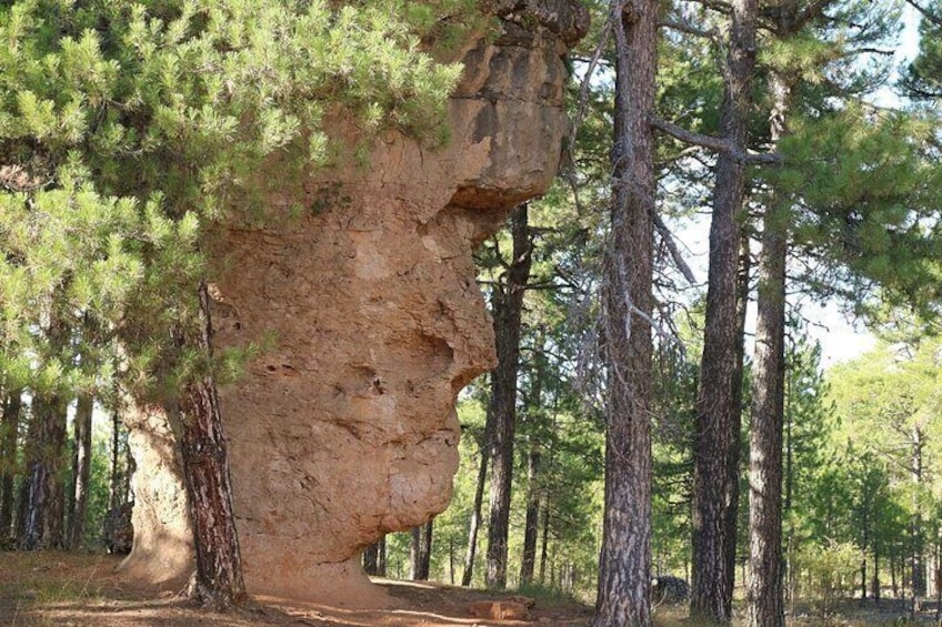 Excursion to the Enchanted City from Cuenca