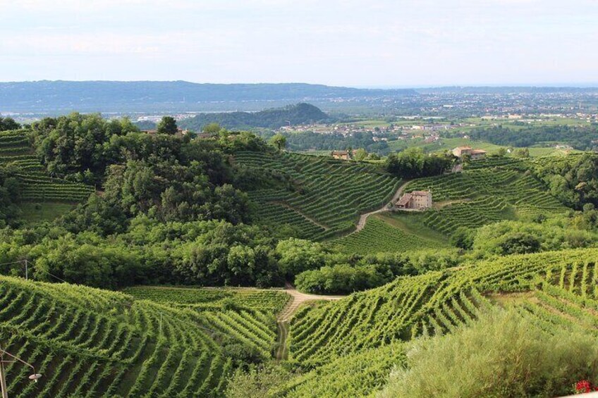 Franciacorta Wines & Bergamo from Milan - Private Tour 