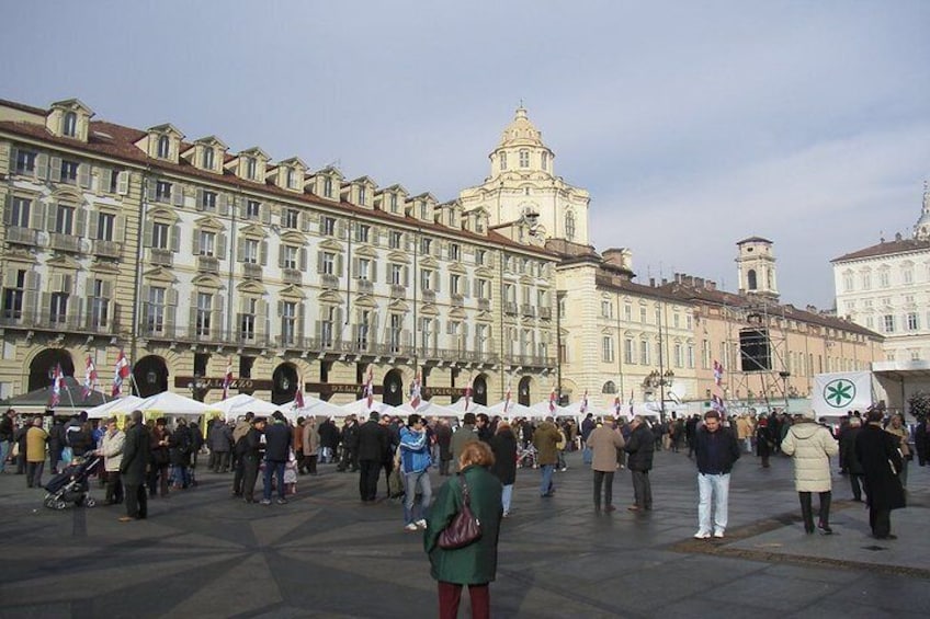 Turin private guided tour from Milan