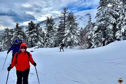 2002 Crater Excursion - Northern Etna