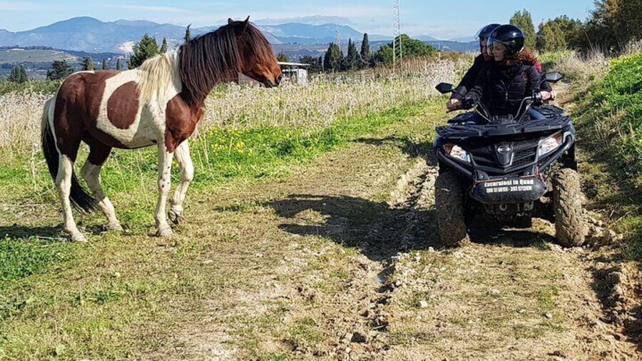 Quad bike tour to Castello Poggiodiana & surroundings