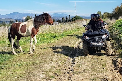 Quad bike tour to Castello Poggiodiana & surroundings