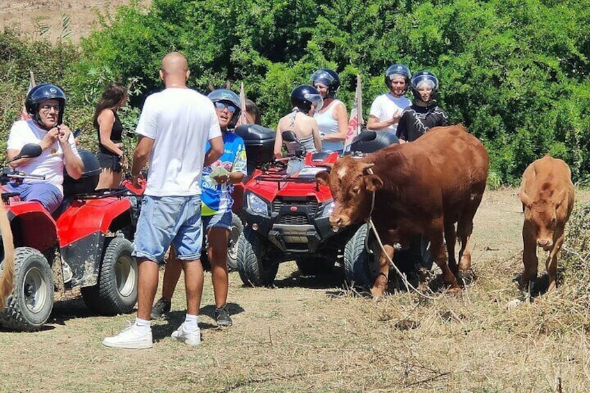 Quad bike tour to Castello Poggiodiana & surroundings