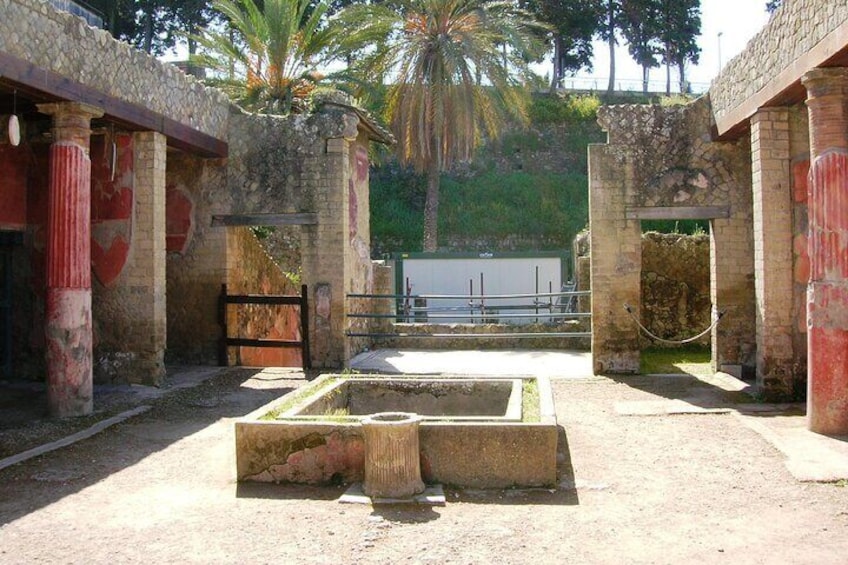 Guided tour of Pompeii and Herculaneum with lunch entrance fees