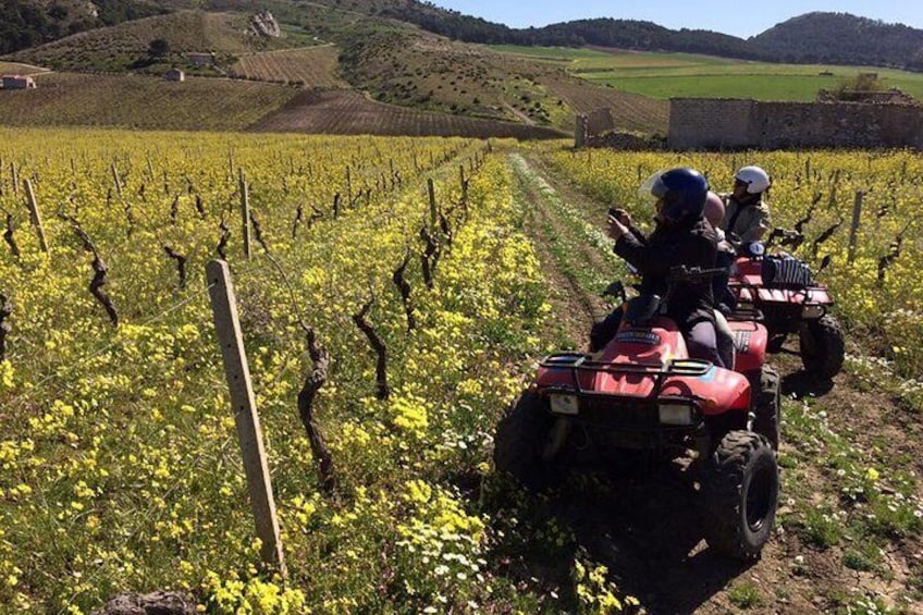 Segesta Quad Tour