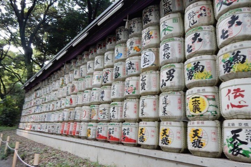 Meiji Jingu Shrine Half-day Tour by public transportation