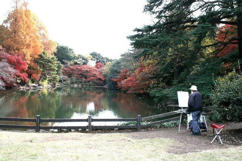 Meiji Jingu Shrine Half-day Tour by public transportation