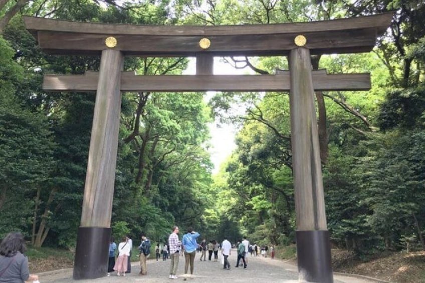 Meiji Jingu Shrine Half-day Tour by public transportation