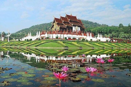 Halbtagestour von Chiang Mai nach Wat Doi Suthep und Phu Ping Palace
