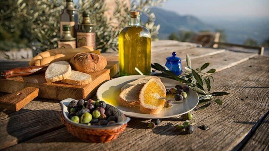 From Padua: Olive Oil & Wine in the Euganean Hills