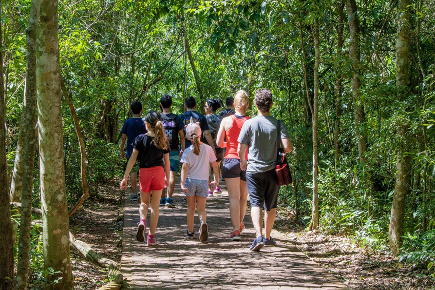 Iguazu Falls Tour on the Brazilian & Argentine Sides