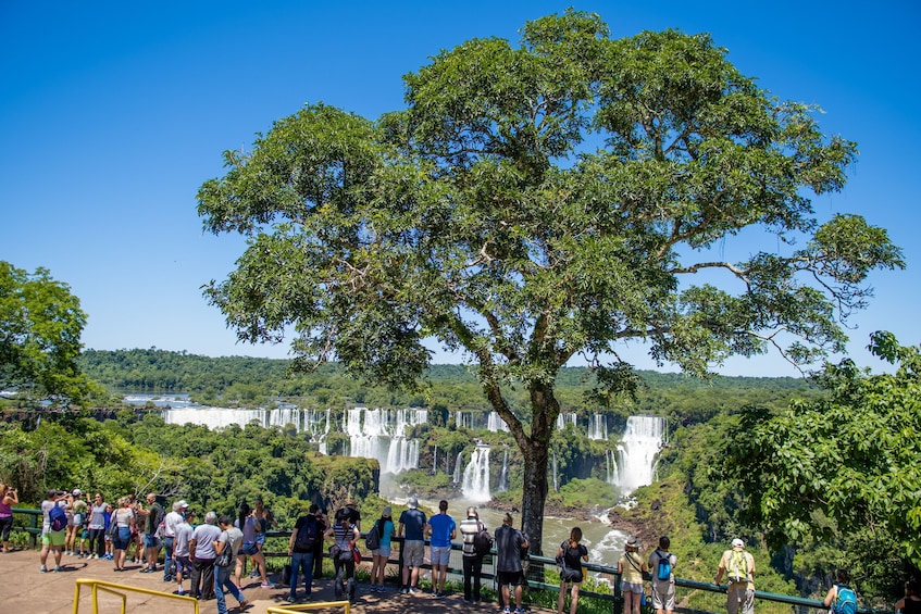 Iguazu Falls Tour on the Brazilian & Argentine Sides