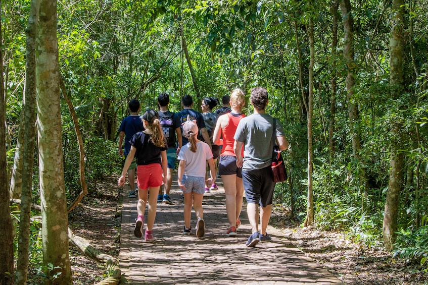 Iguazu Day Tour with Boat Ride Under the Falls