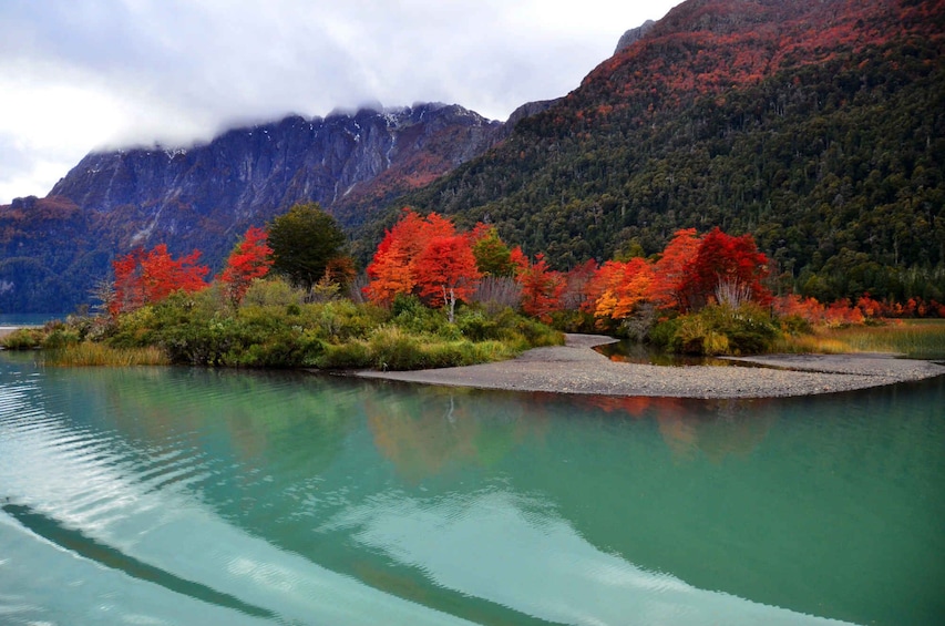 El Bolson & Lago Puelo National Park Tour