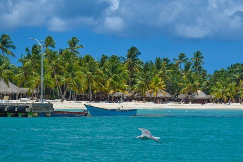 Saona Island Tour with Lunch and Pickup