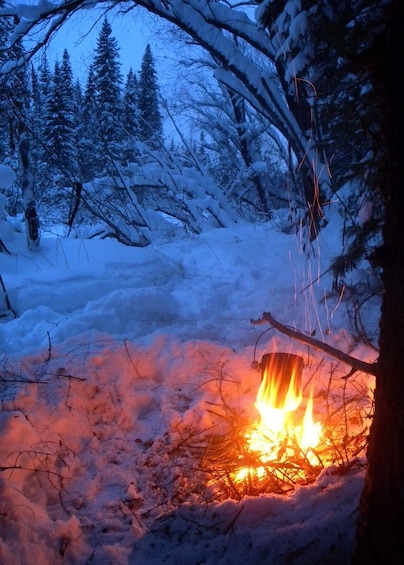 Dogsled & Snowshoes Night Tour