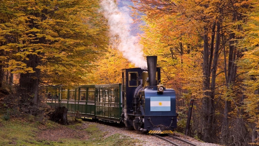 Ushuaia: Tierra del Fuego National Park with the End of the World Train