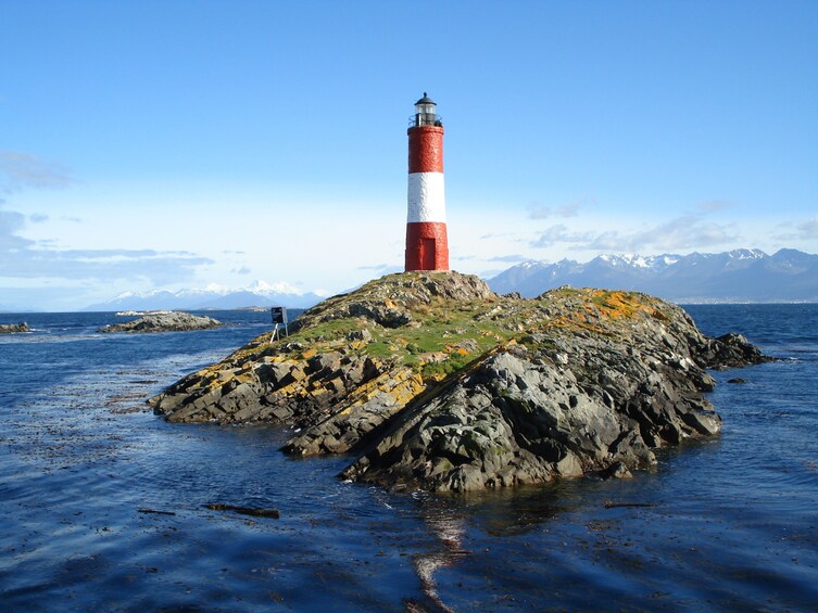 Catamaran Voyage to Seal's Island & Bird's Island