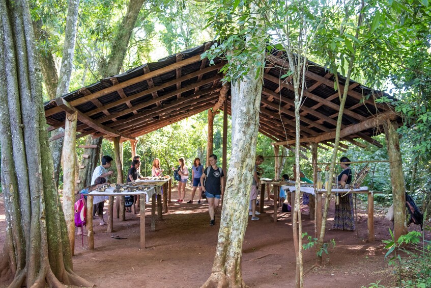 Fortin Mborore & Guarani Village Tour
