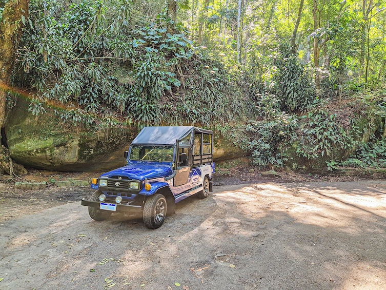 Tijuca National Park Rainforest Jeep Adventure with Hike