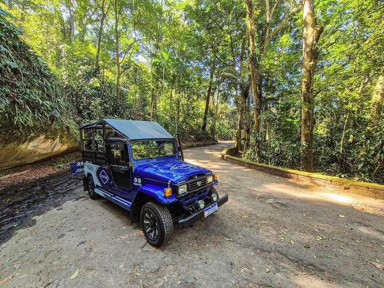 Tijuca National Park Rainforest Jeep Adventure with Hike