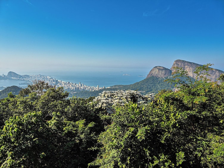 Tijuca National Park Rainforest Jeep Adventure with Hike