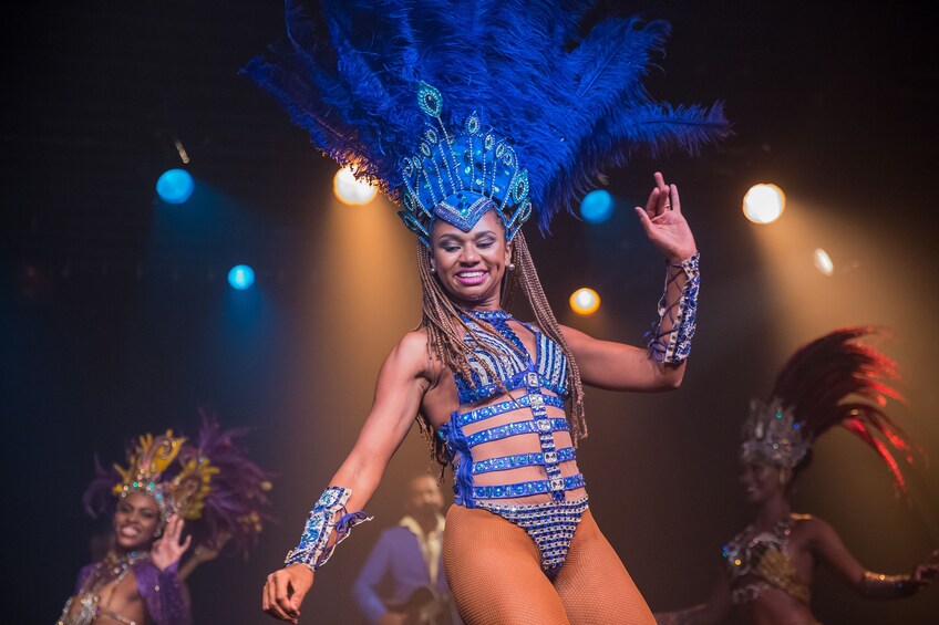 Tour of Rio Landmarks & Rainforest with Lunch & Show