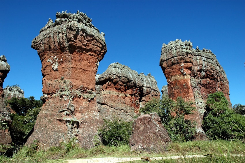 Vila Velha State Park Tour