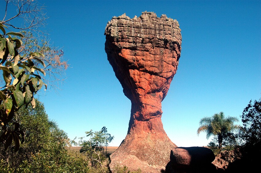 Vila Velha State Park Tour