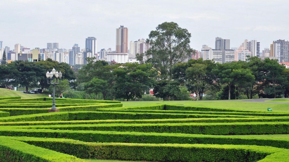 Explore Curitiba to discover the city's sights and sounds