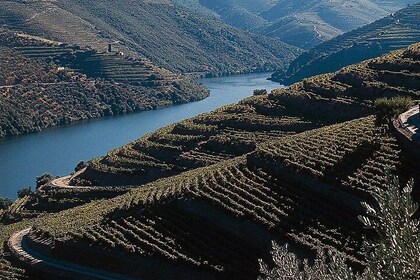 Private Douro Valley Tour Includes Wine Tasting and Boat Tour
