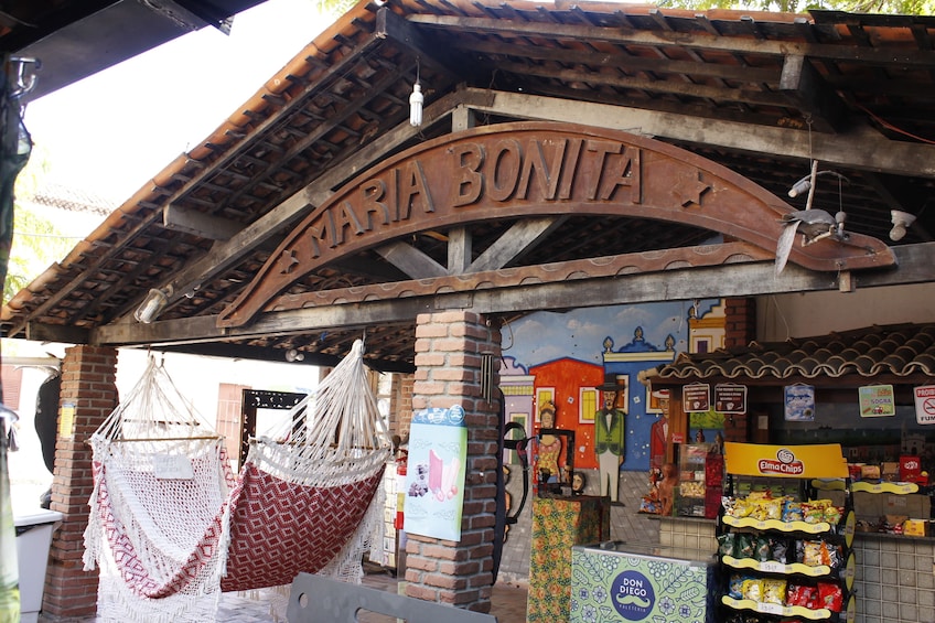 Recife & Olinda City Tour