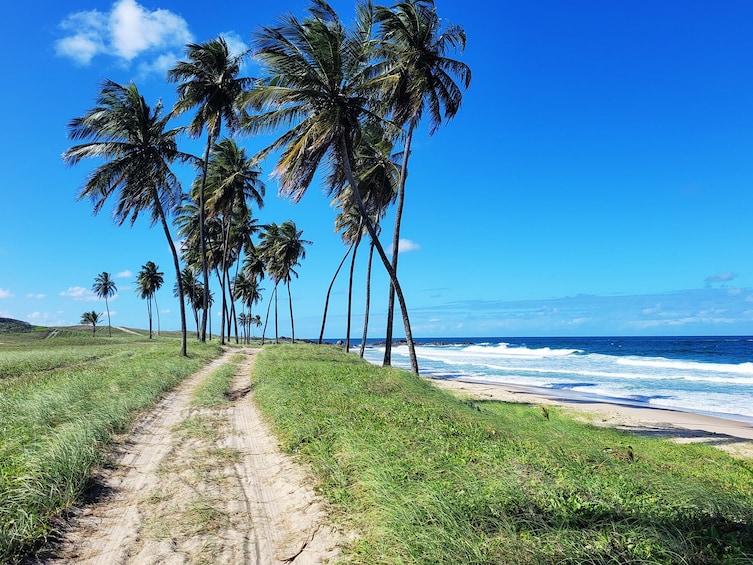 Full Day Tour to Cabo de Santo Agostinho with Buggy ride