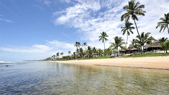 Porto de Galinhas Tour