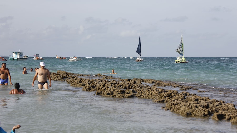 Porto de Galinhas Tour