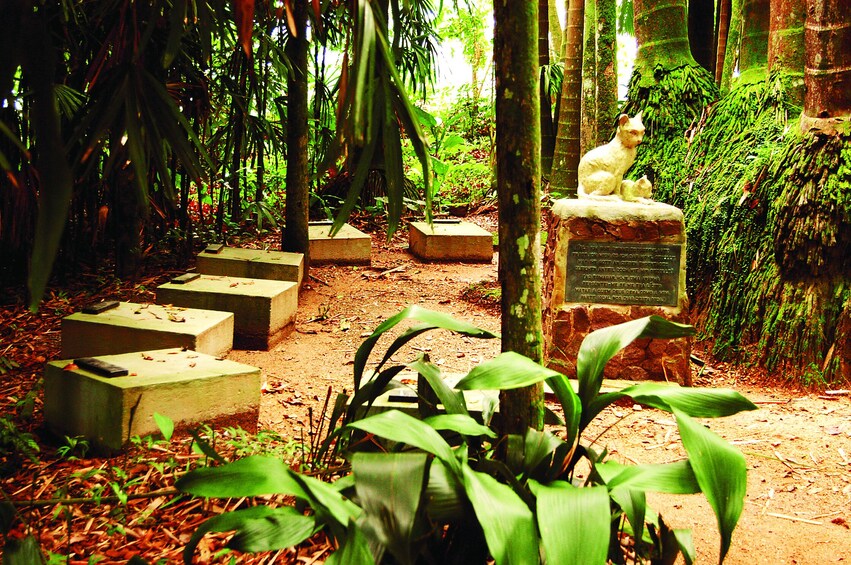Blumenau City Full-Day Tour