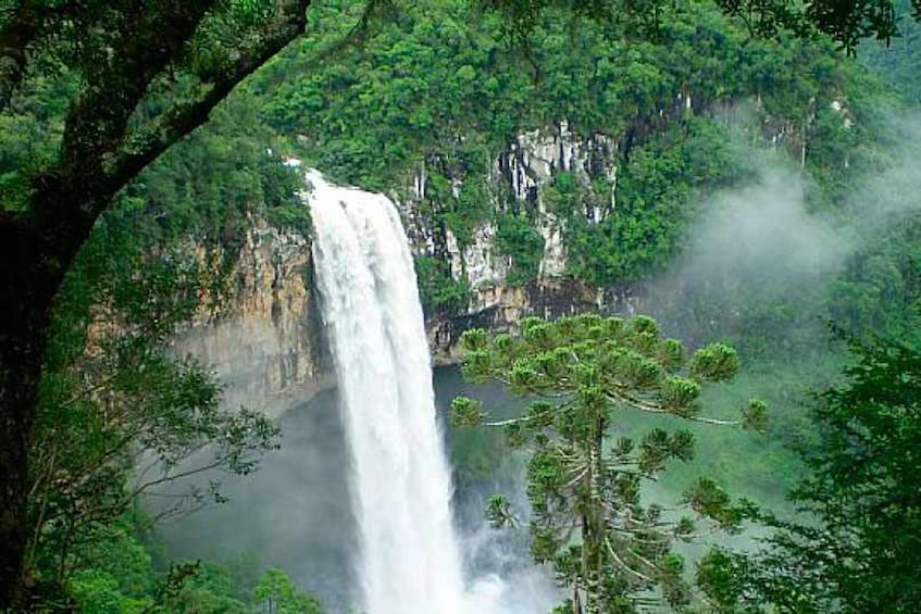 Private Gramado & Canela Full-Day Tour