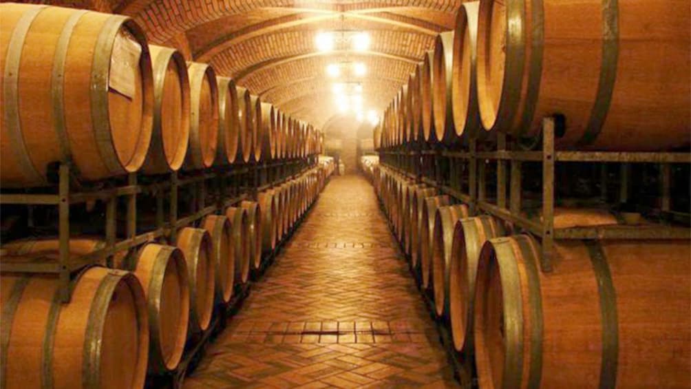 Wine barrels in Vale dos Vinhedos of Porto Alegre