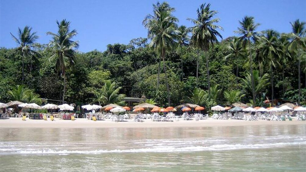 Lovely sunny view of Northern Coast Beaches in Joao Pessoa 