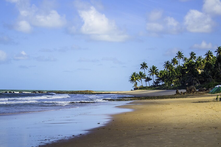 Full-Day Excursion to Southern Coast Beaches & Tambaba Beach