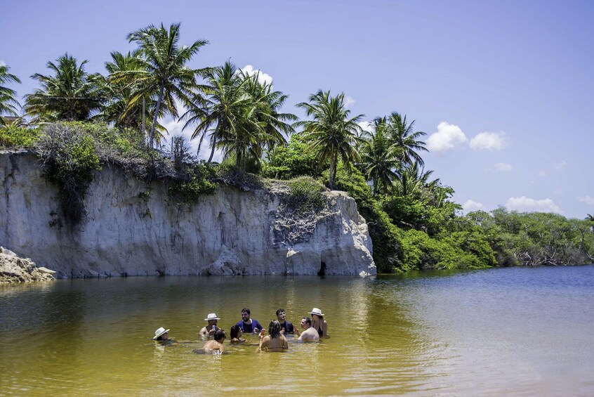 Full-Day Excursion to Southern Coast Beaches & Tambaba Beach