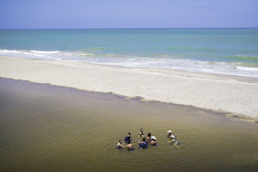 Full-Day Excursion to Southern Coast Beaches & Tambaba Beach