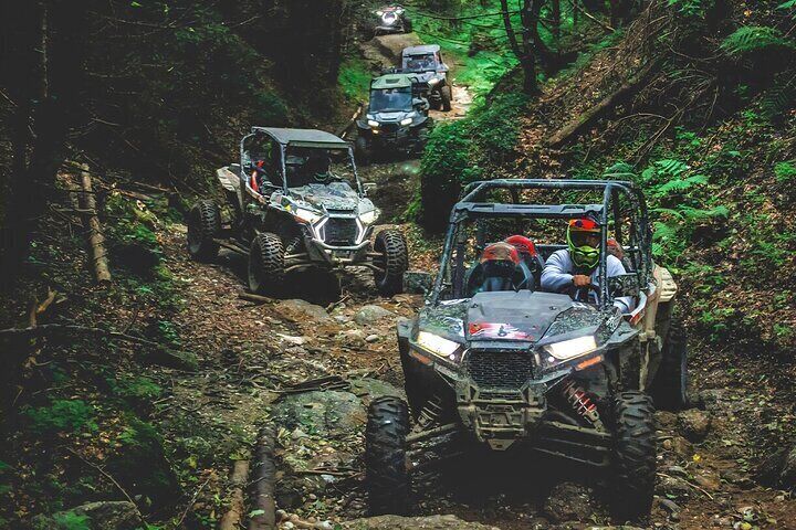 From Bucharest: Buggy tour full adrenaline Self-Drive 